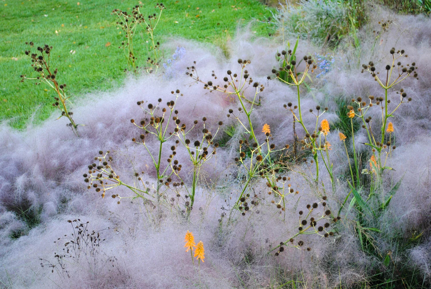 Muhly by Morning, Muhly by Day