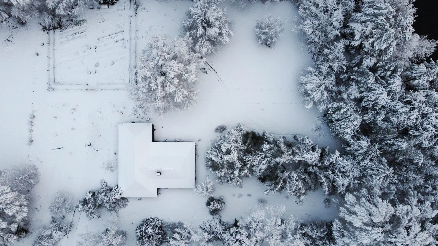 An East Texas Snow