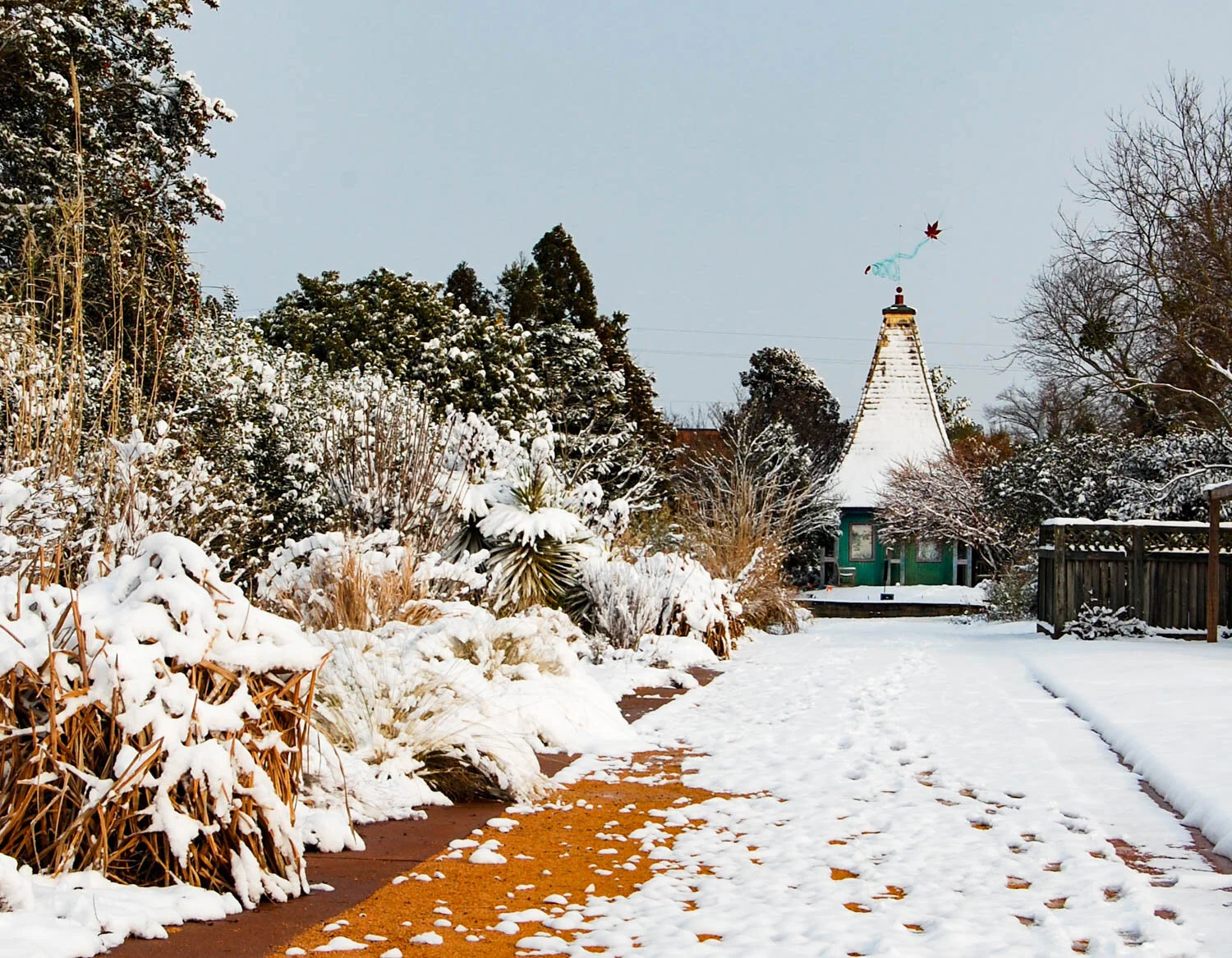 A Snow Day at the JC Raulston Arboretum