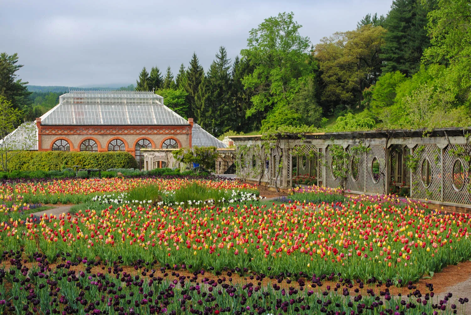 Easter Weekend at Biltmore