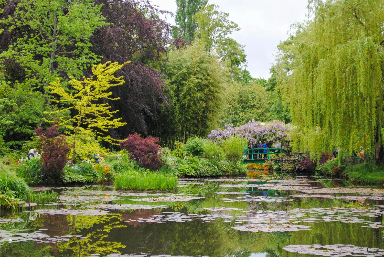 Claude Monet, Plantsman and Painter