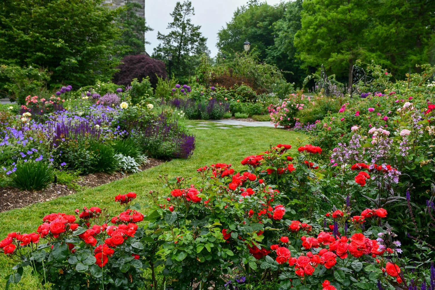 The Scott Arboretum Part 1
