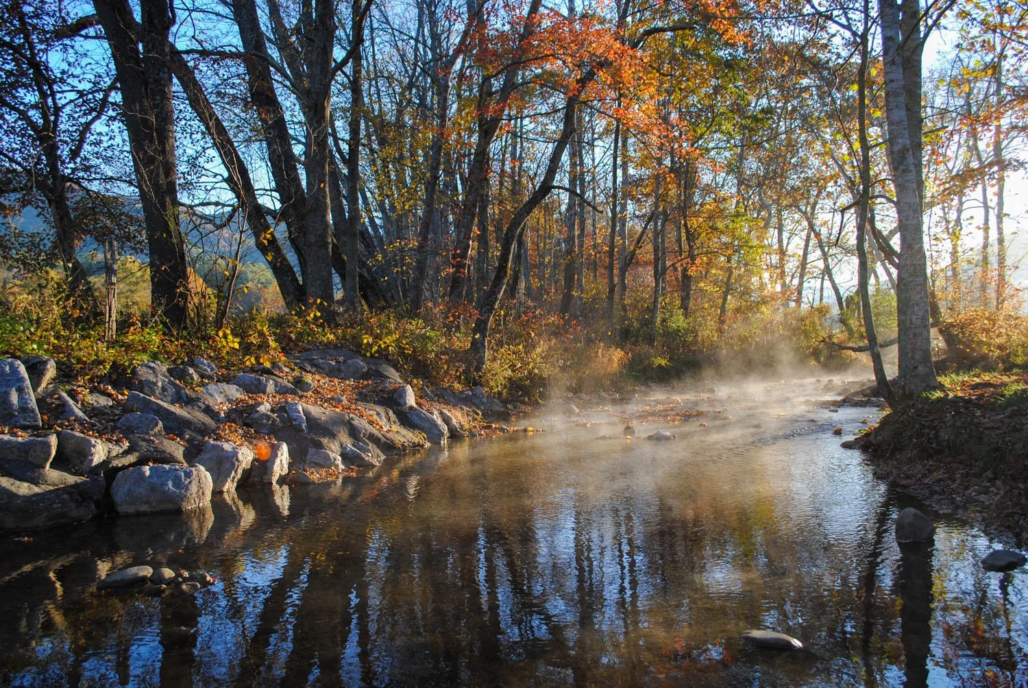 Memories from Cades Cove