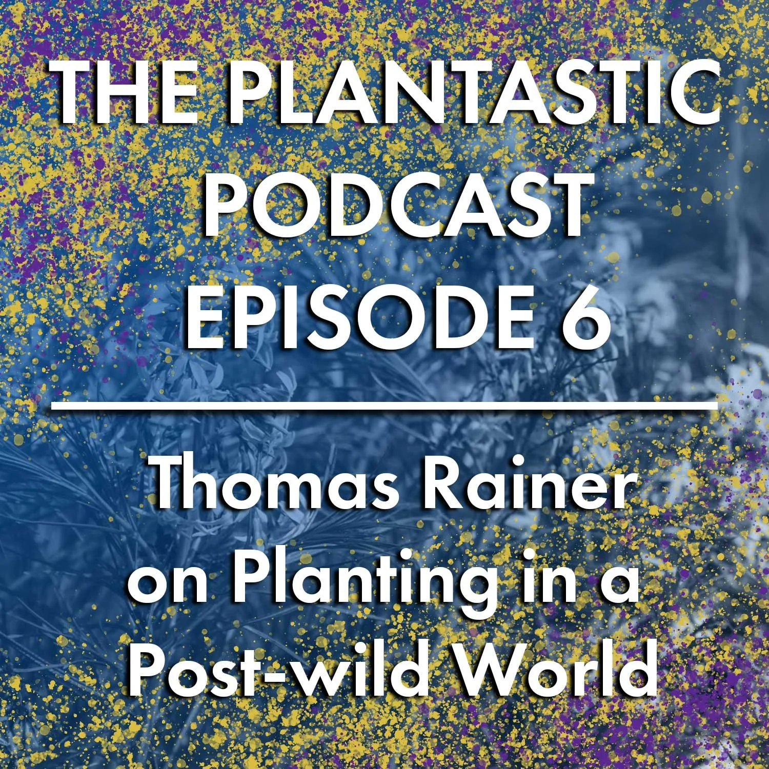 6. Thomas Rainer on Planting in a Post-wild World