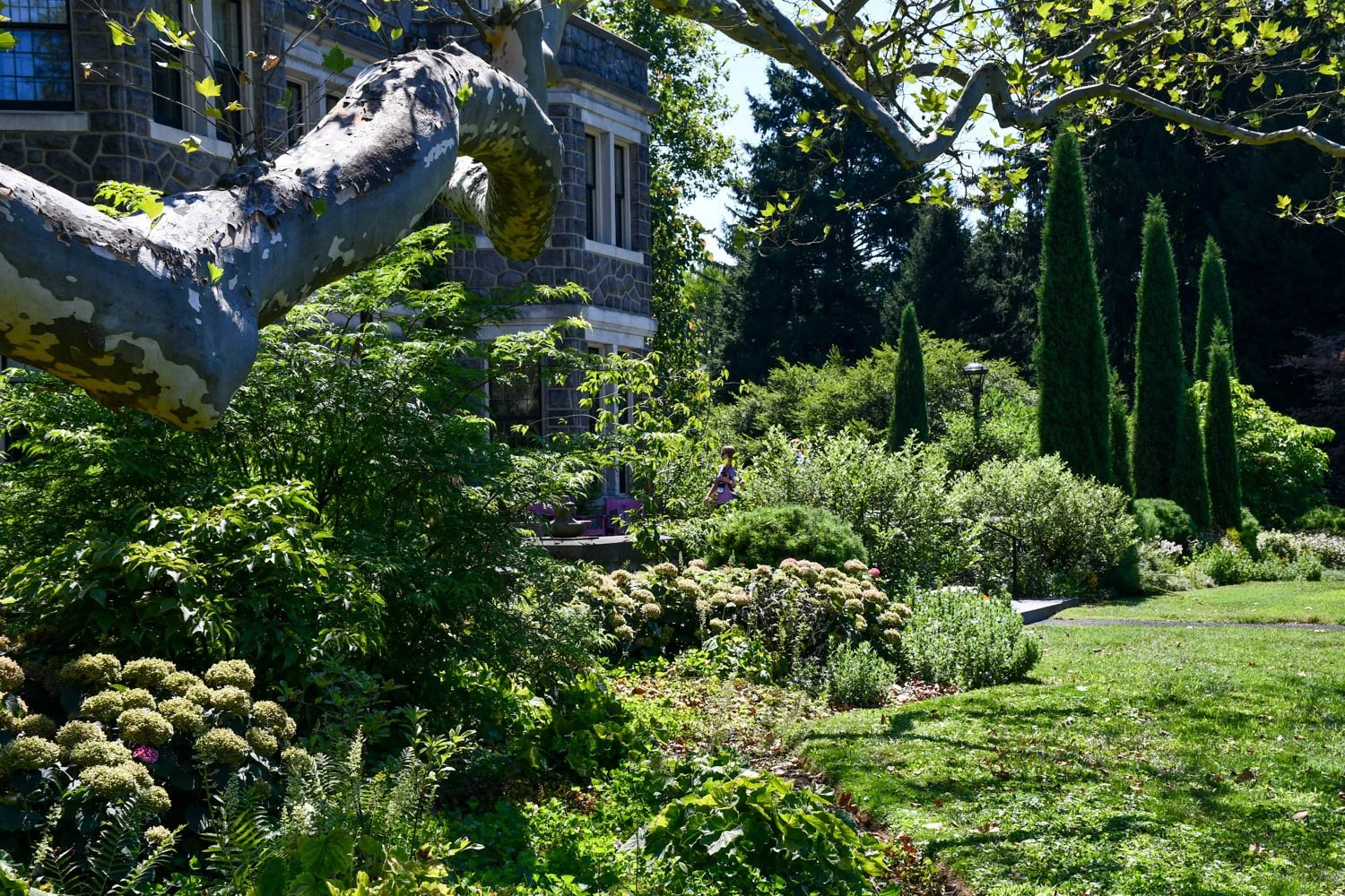 Perennial Plant Association Symposium 2022: Visiting Stoneleigh