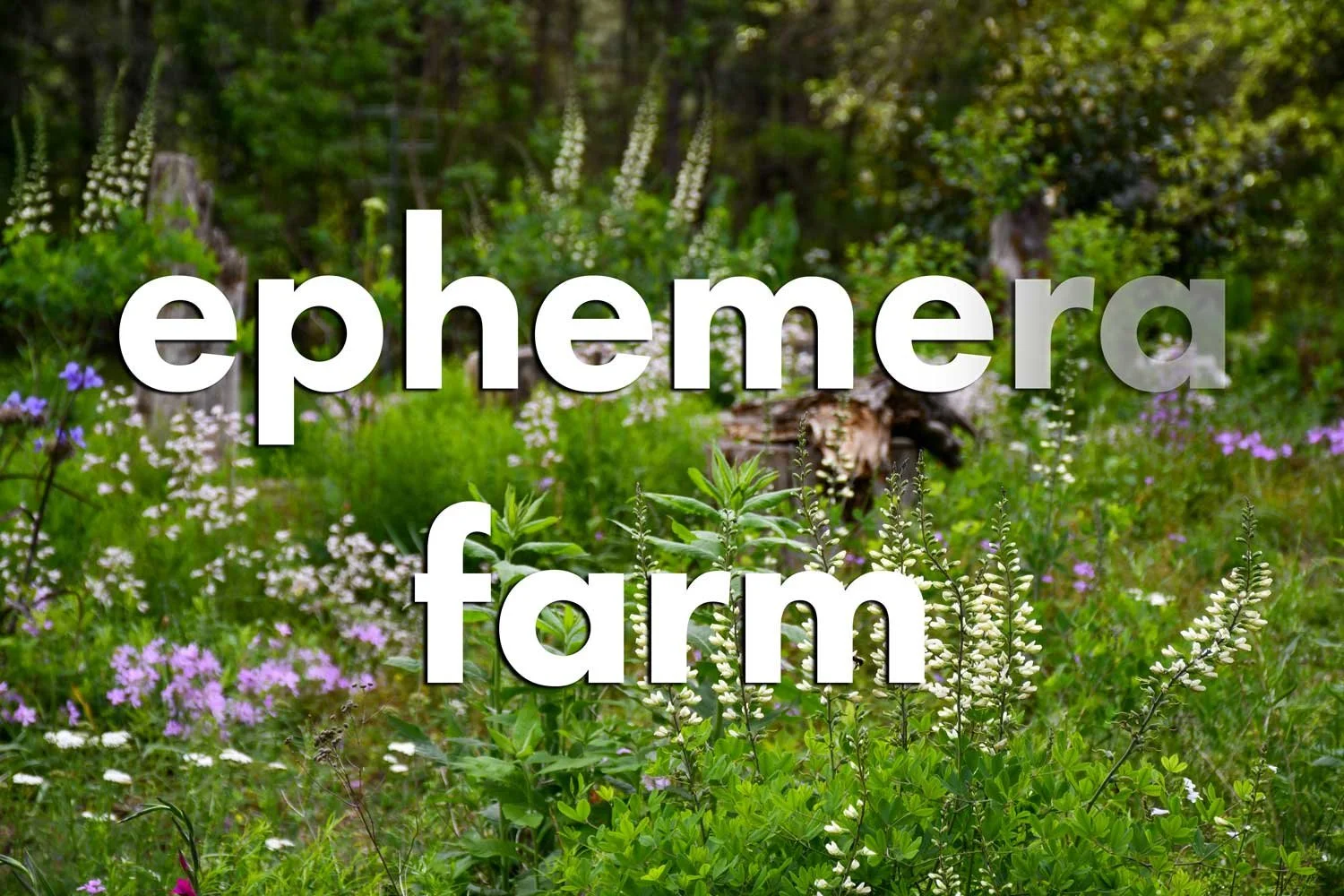 Welcome to Ephemera Farm