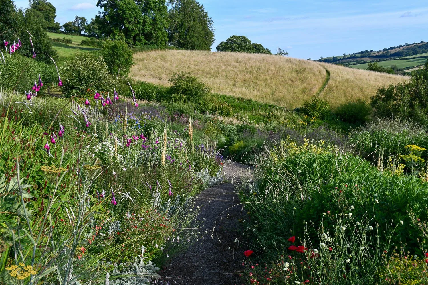 An Afternoon at Hillside