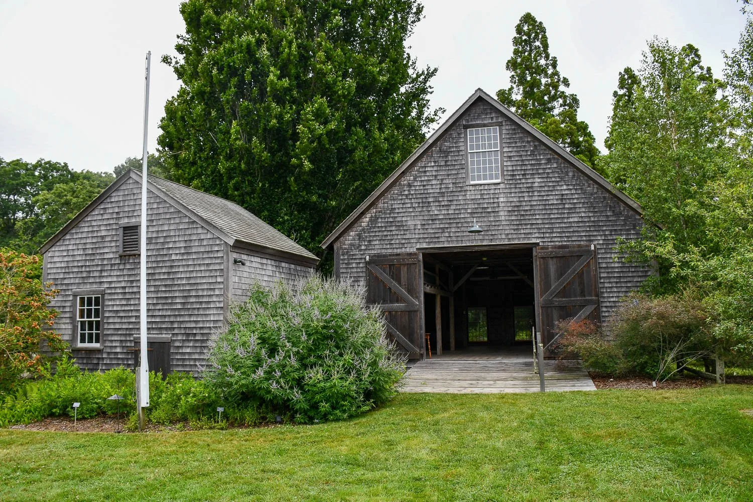 Lessons from Polly Hill Arboretum