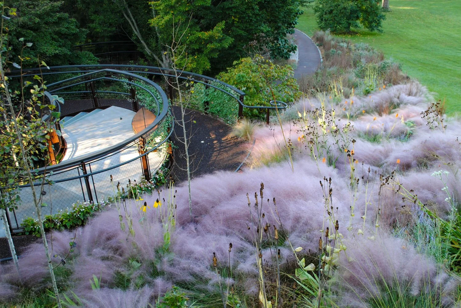 The Power of Repetition: How Repeating Plants Unifies PLANTINGS