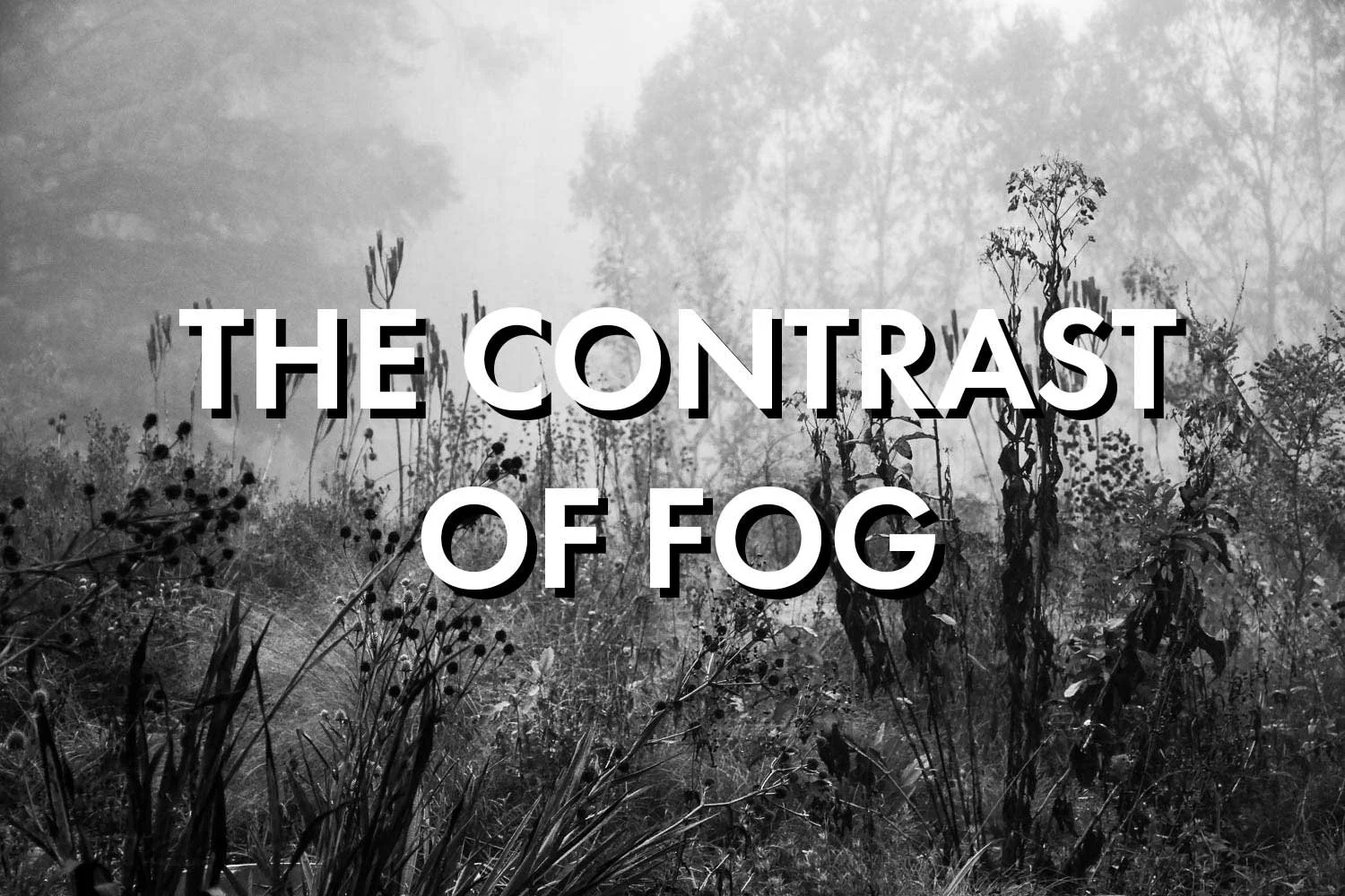 The Contrast of Fog