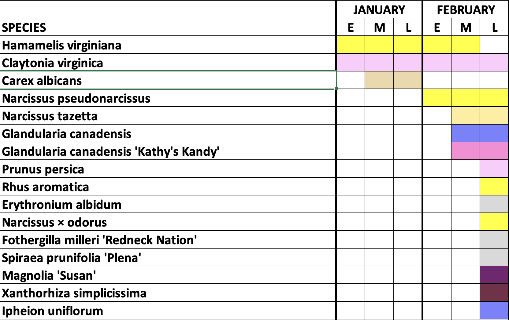 Creating a Bloom Calendar for Better Planting Design