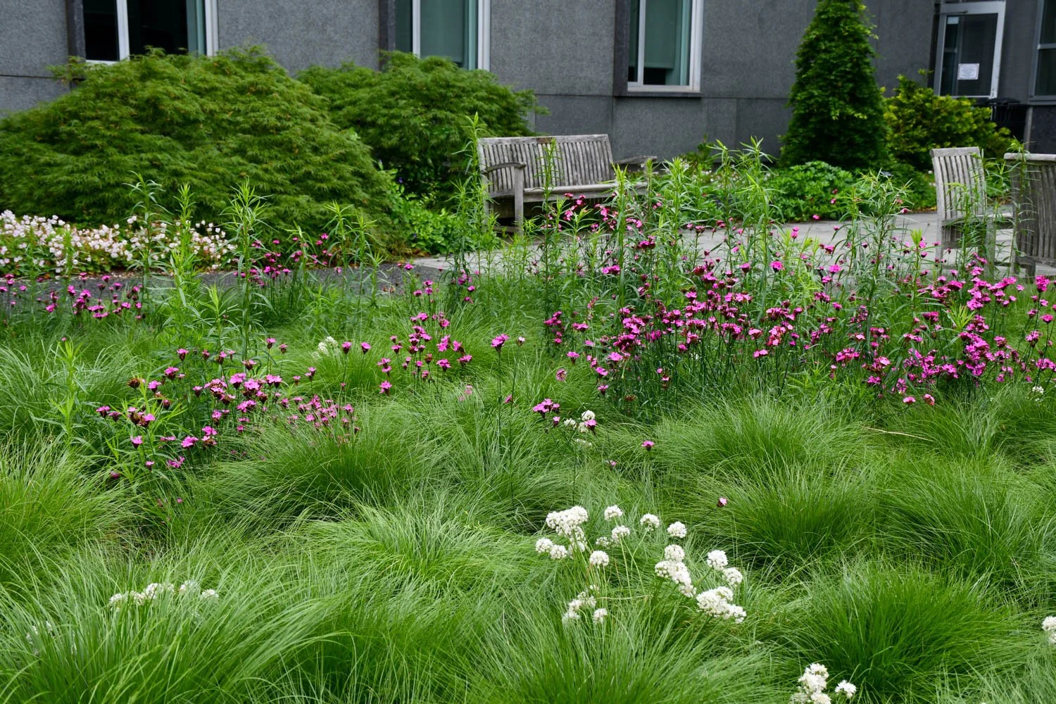 What is Matrix Planting?