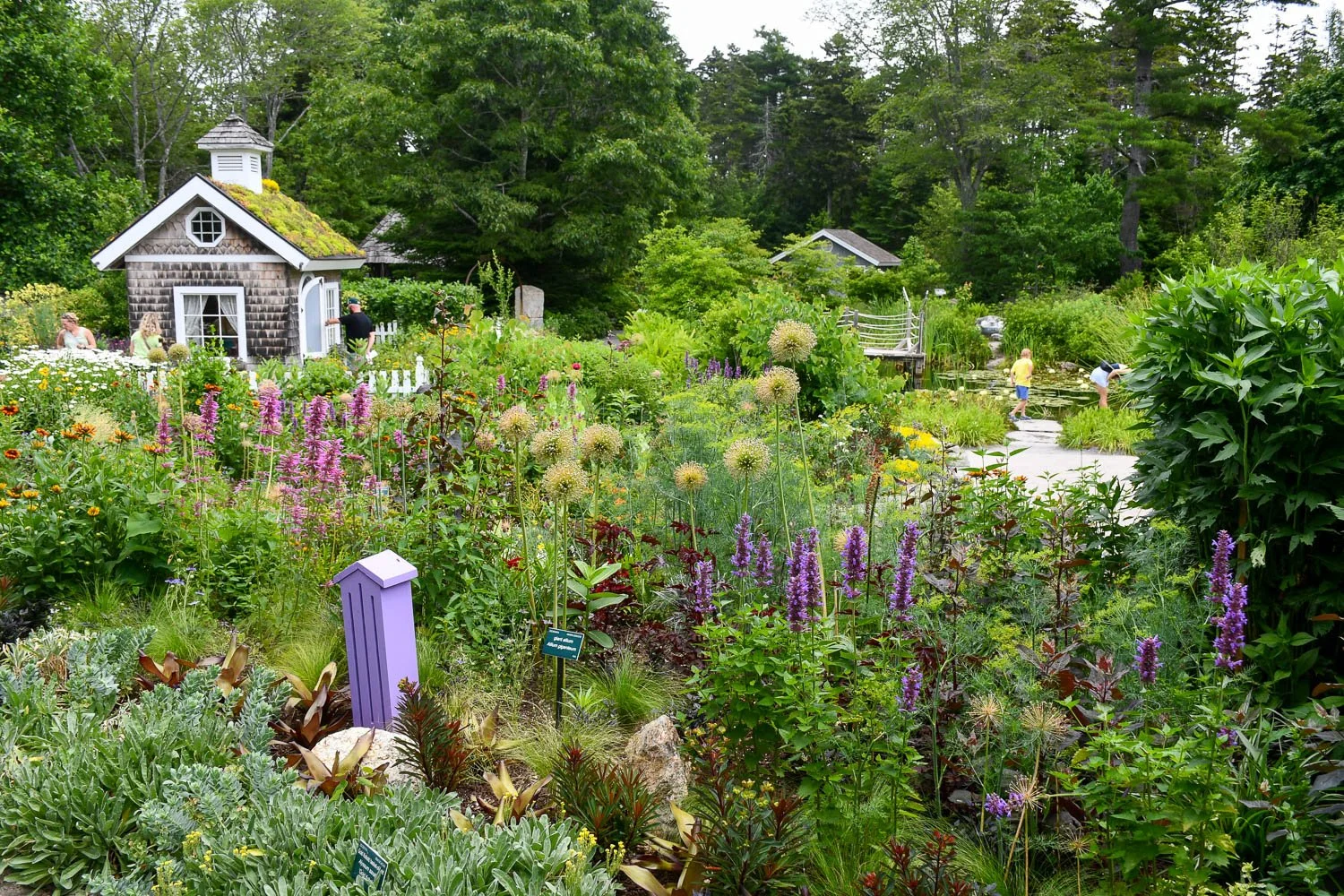 Inspiration from Coastal Maine Botanical Gardens