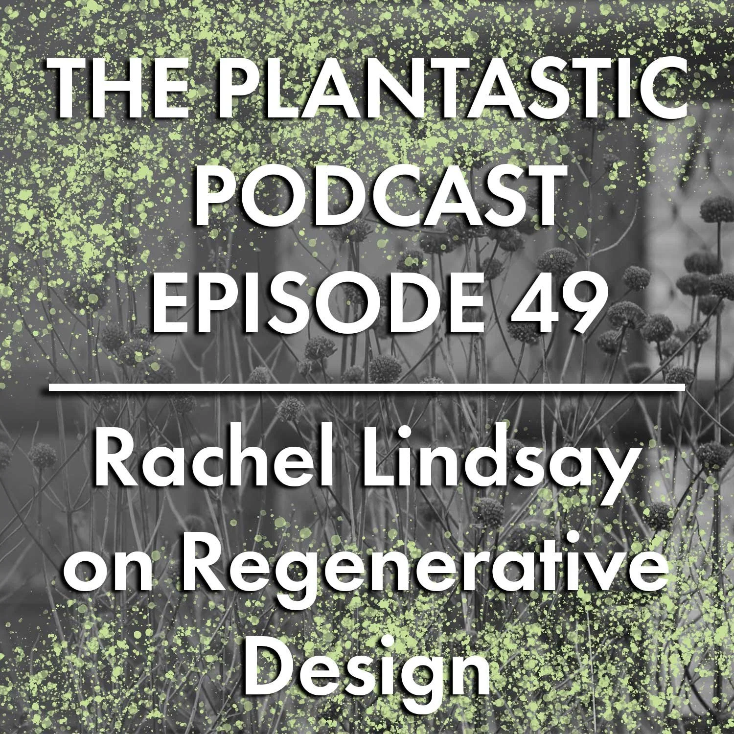 49. Rachel Lindsay on Regenerative Design