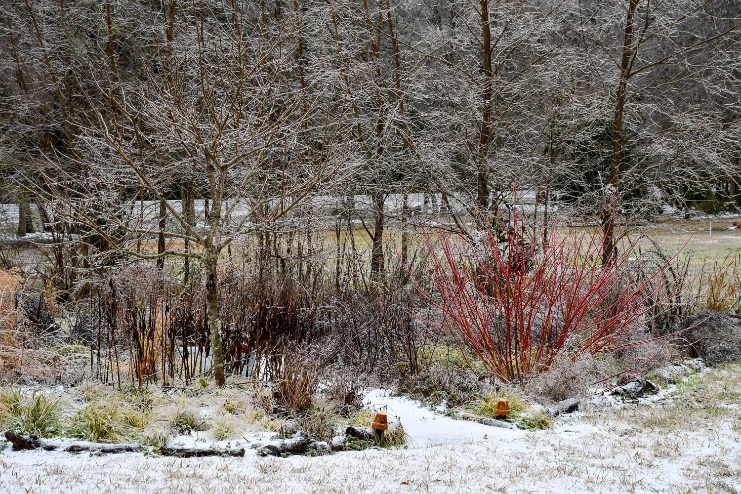 Reflections from Winter Storm Fern