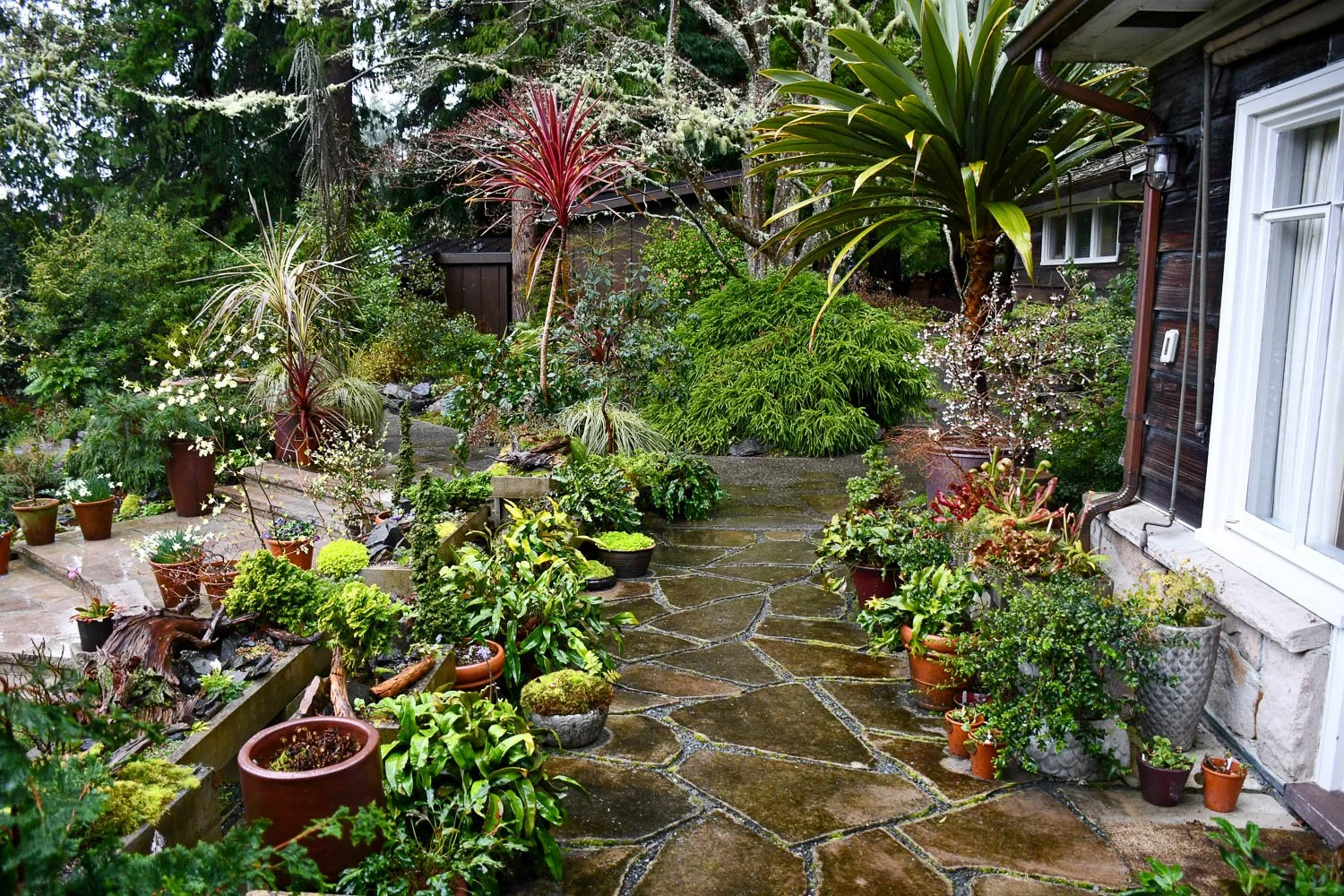 Inspiration from the Miller Botanical Garden