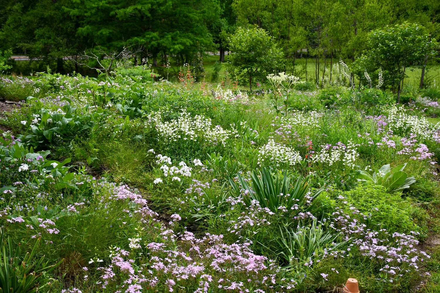 What Spring Reveals