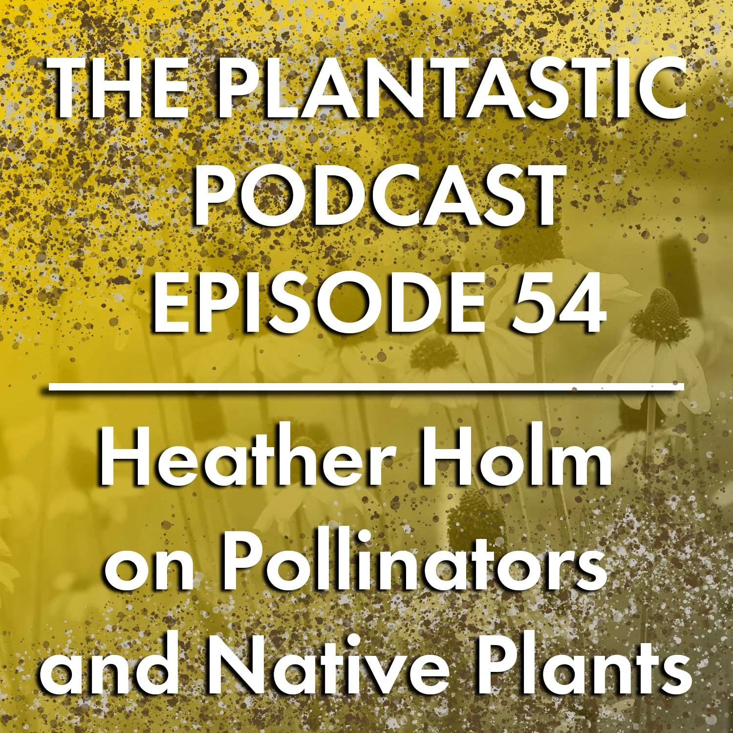 54. Heather Holm on Pollinators and Native Plants