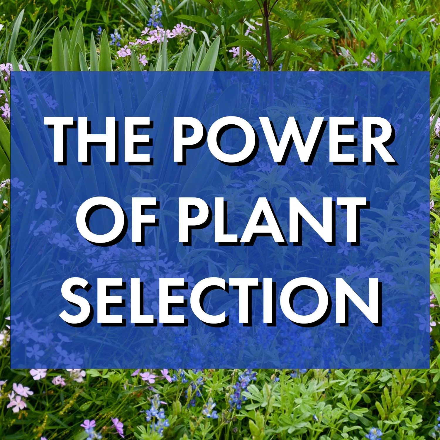 The Power of Plant Selection