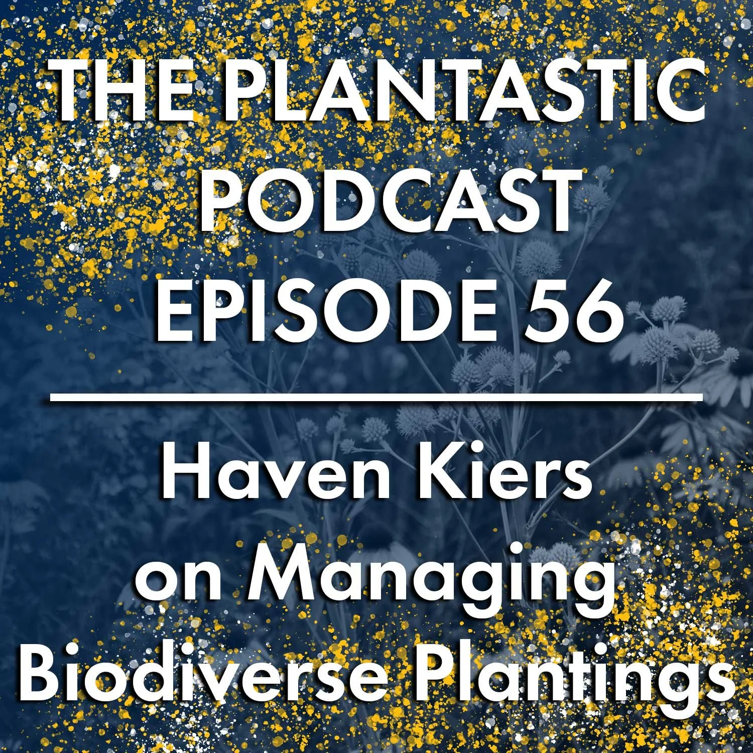 56. Haven Kiers on Managing Biodiverse Plantings