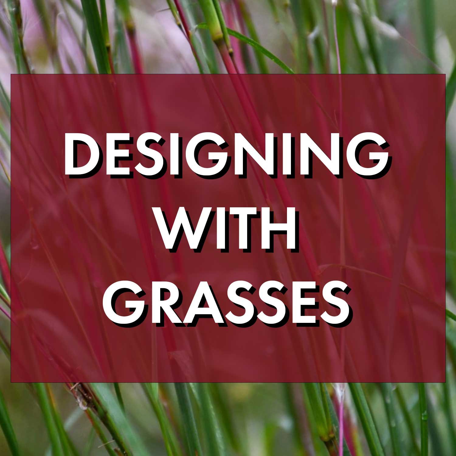 Designing with Grasses