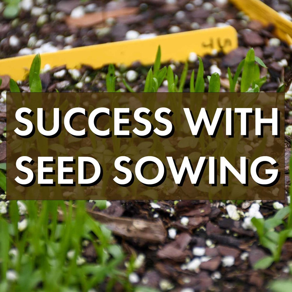 Success with Seed Sowing