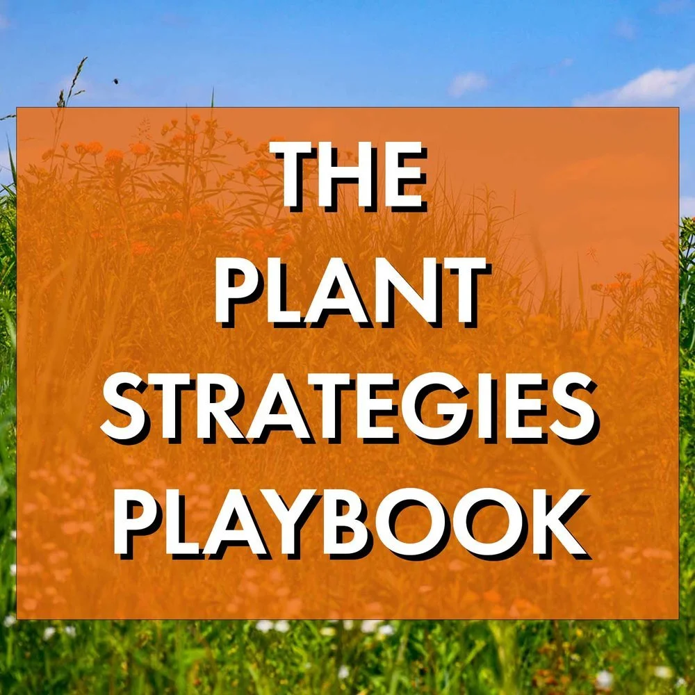 The Plant Strategies Playbook