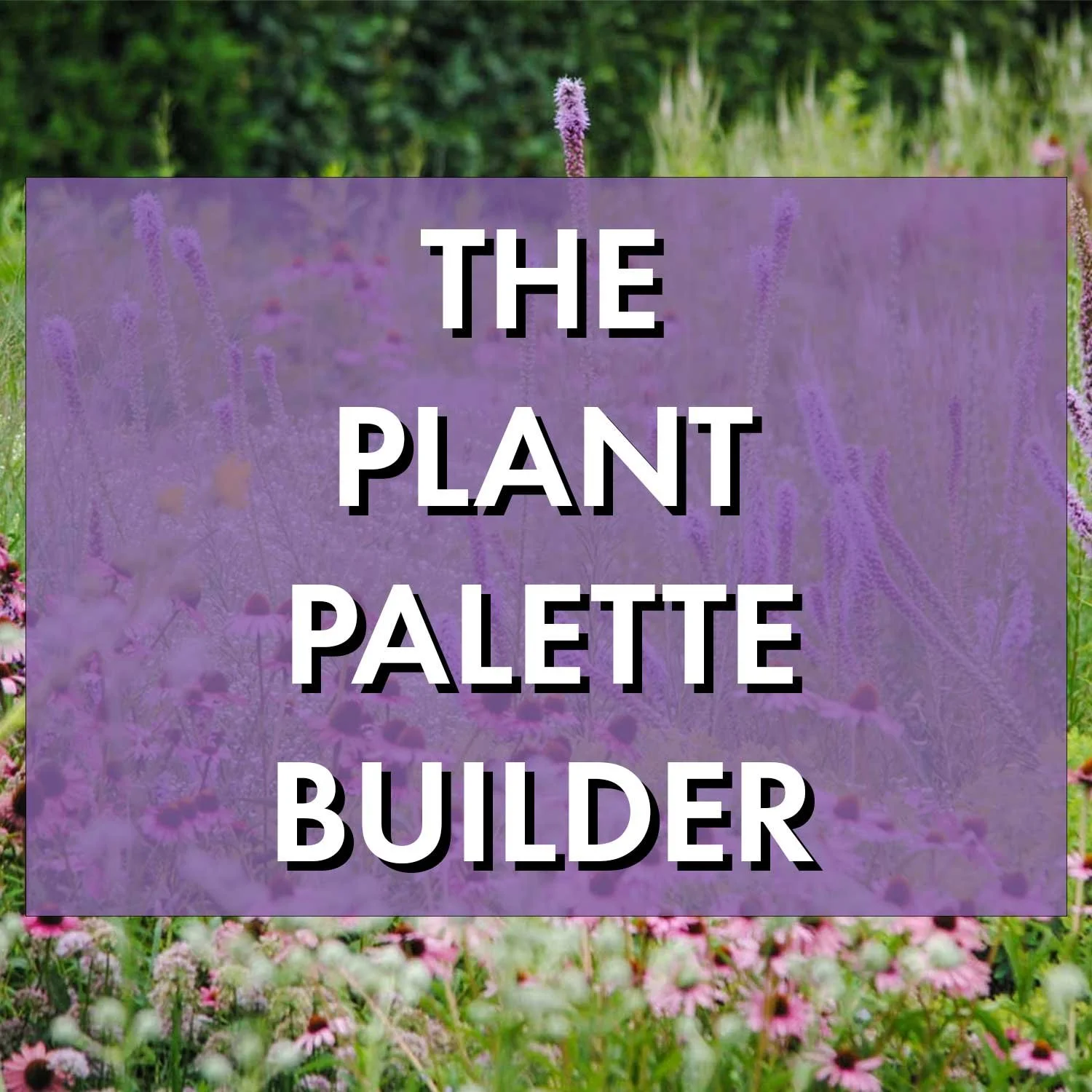 The Plant Palette Builder