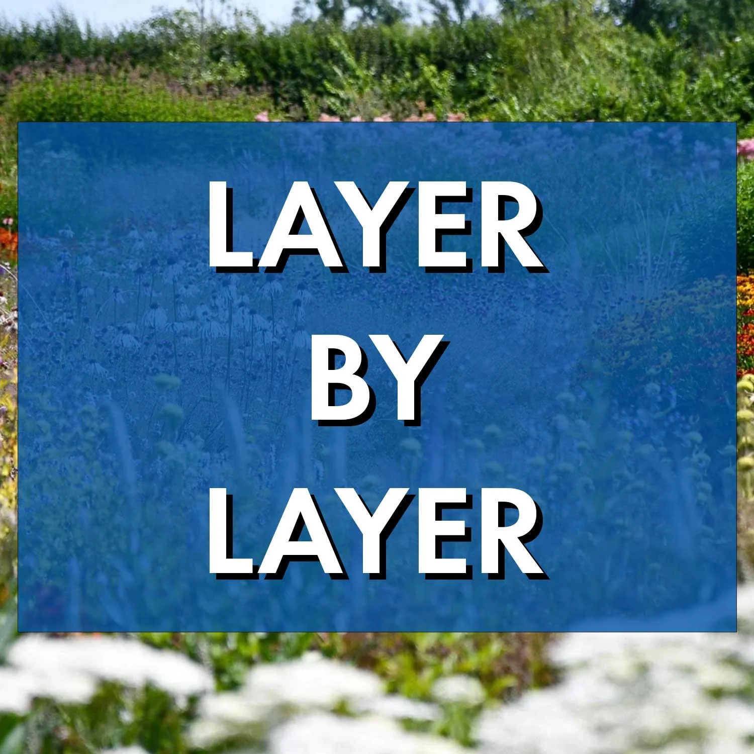 Layer by Layer