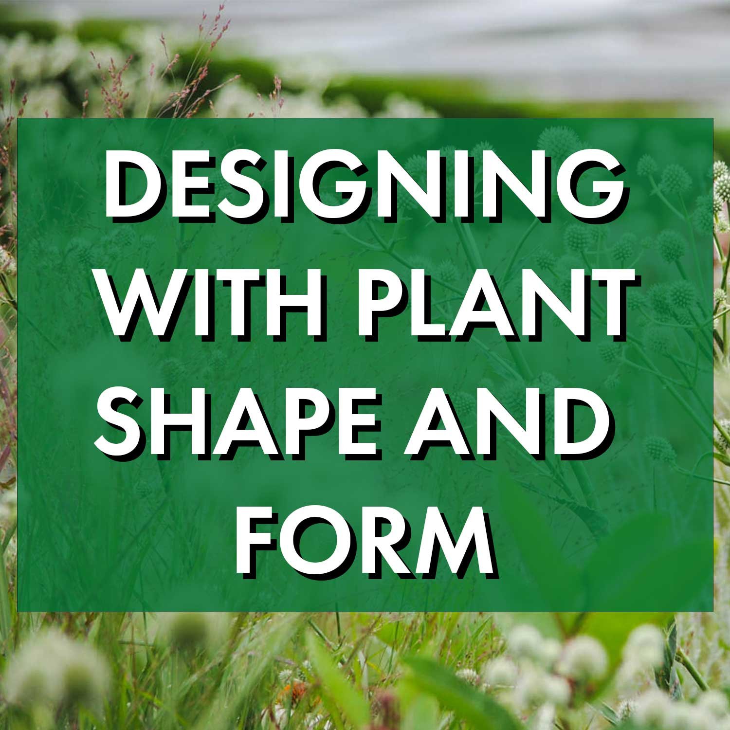 Designing with Plant Shape and Form