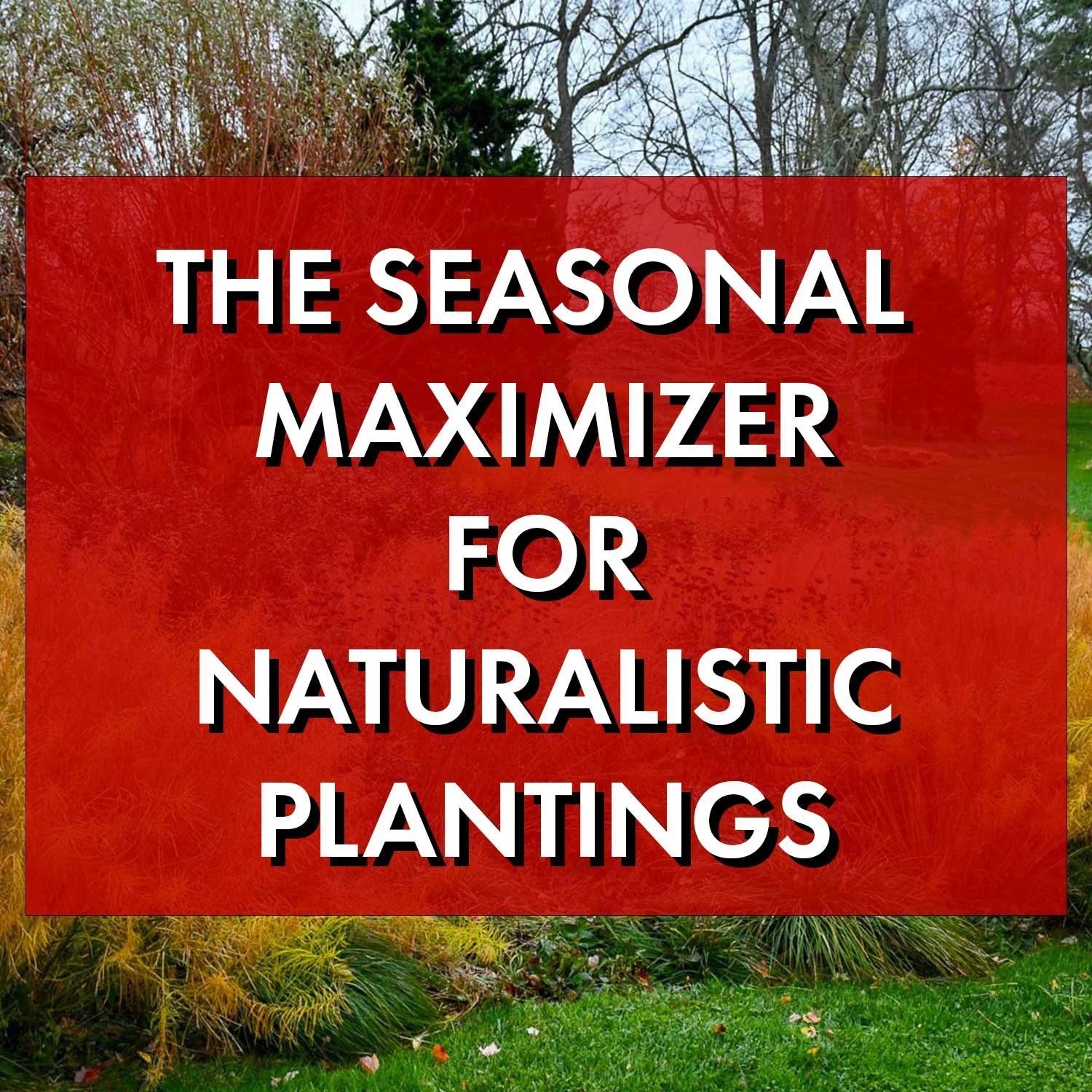 The Seasonal Maximizer for Naturalistic Plantings