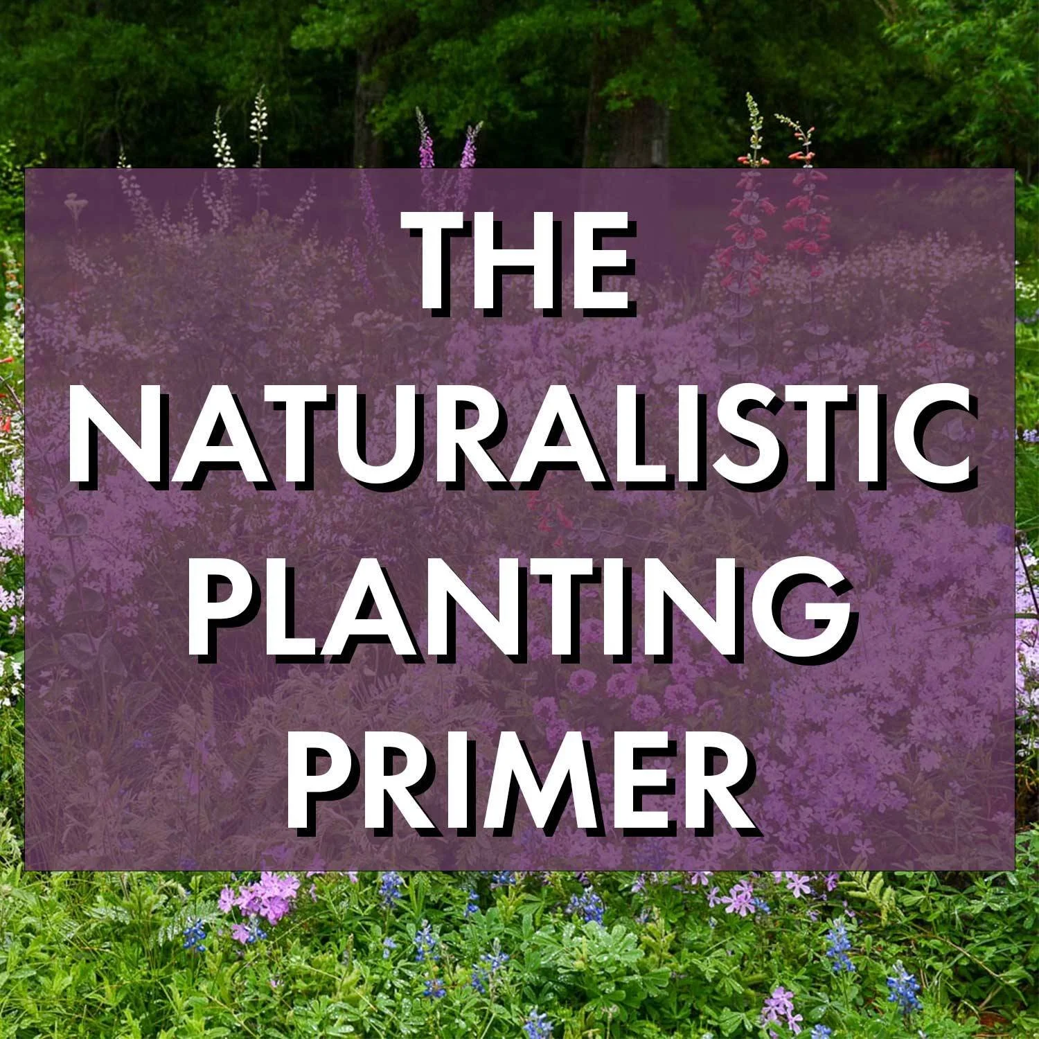 The Naturalistic Planting Primer