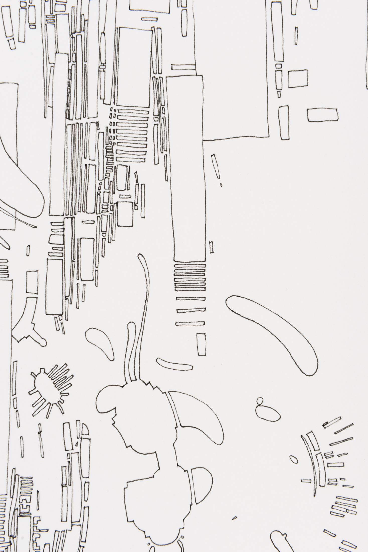 Transcriptor (Detail)