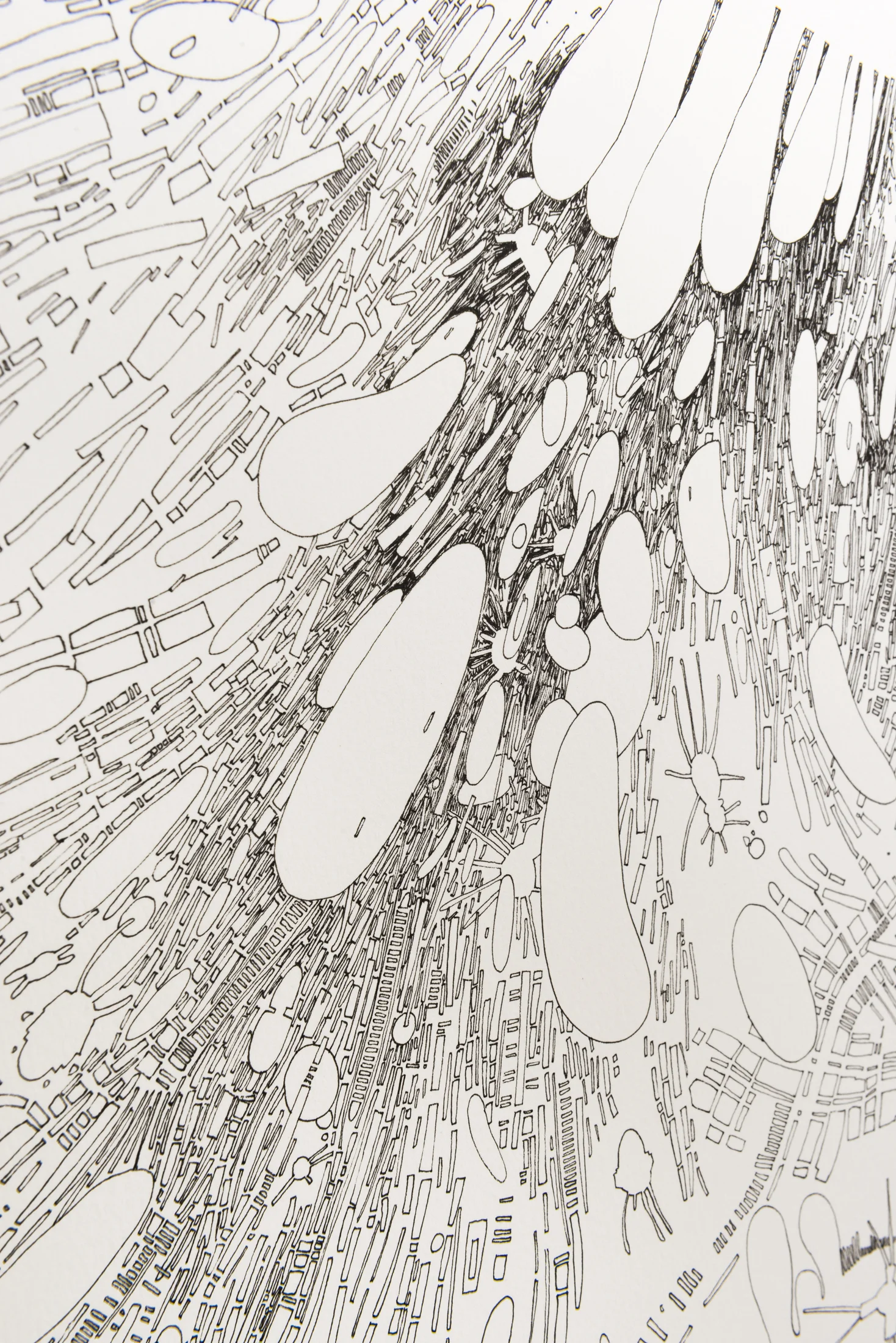 Heliotrope (Detail)