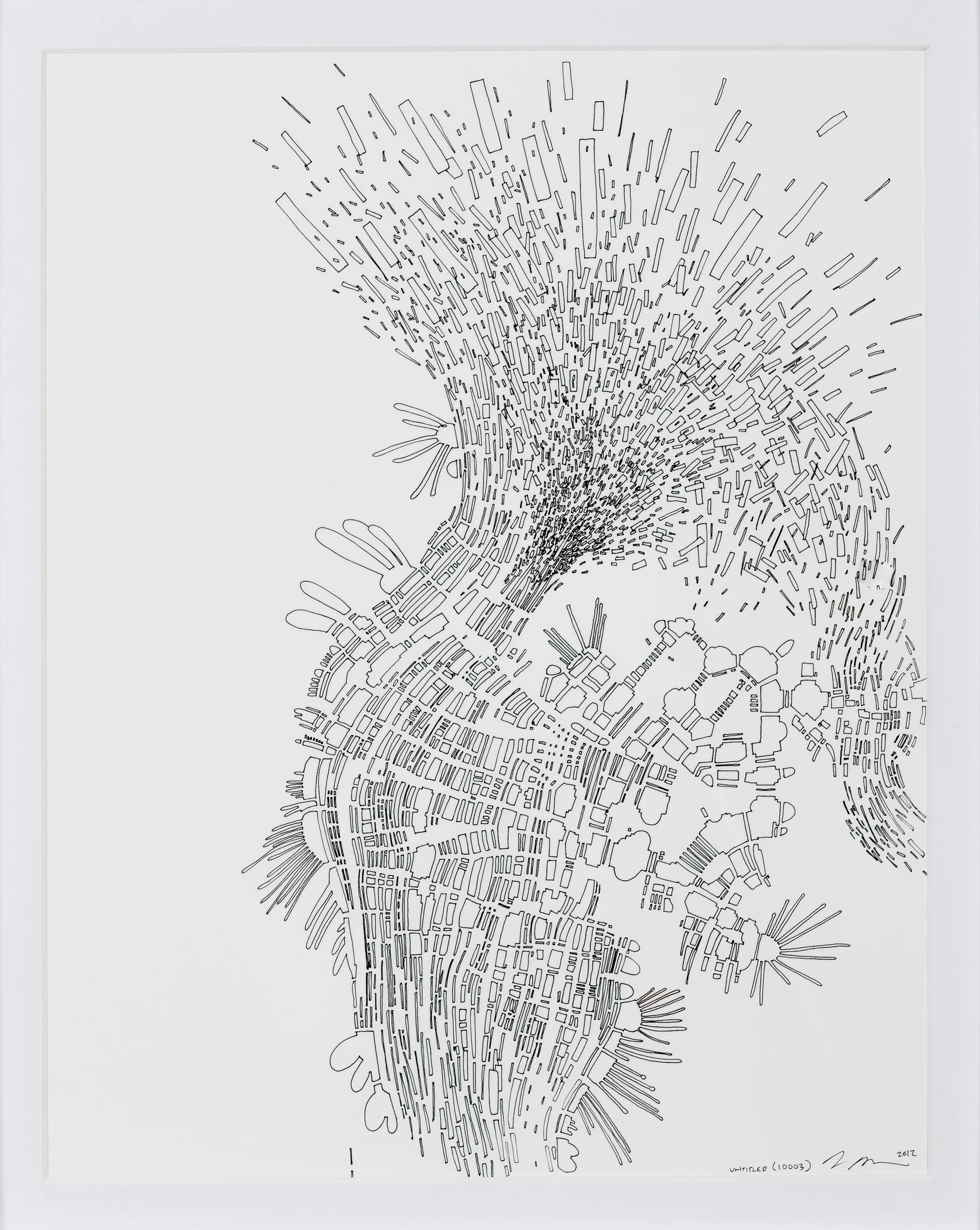 untitled (10003)