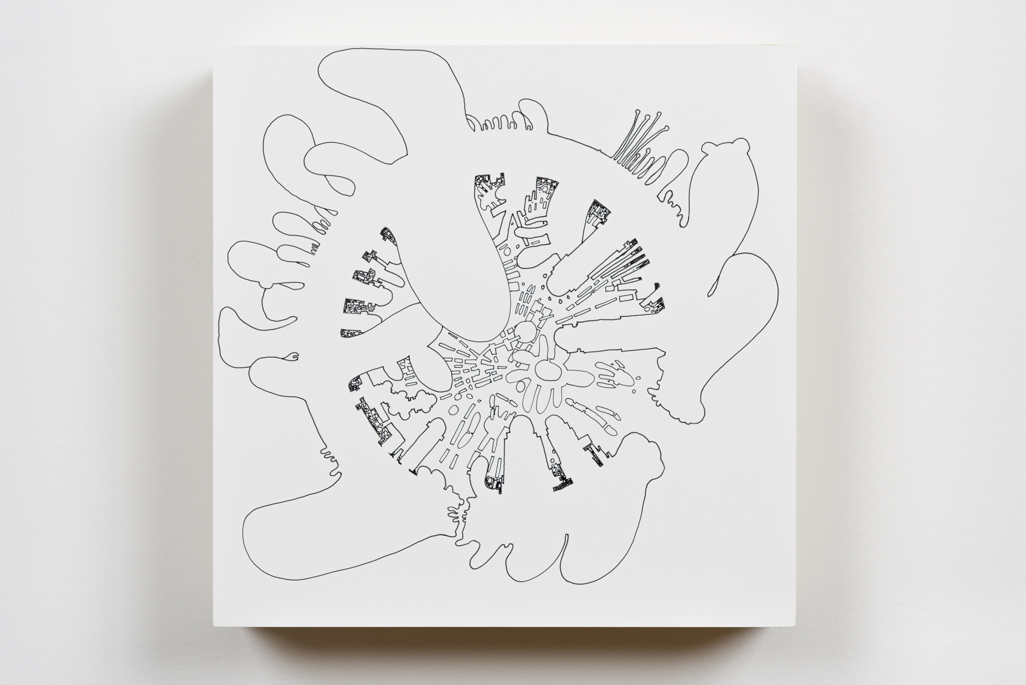 Motile Study #1