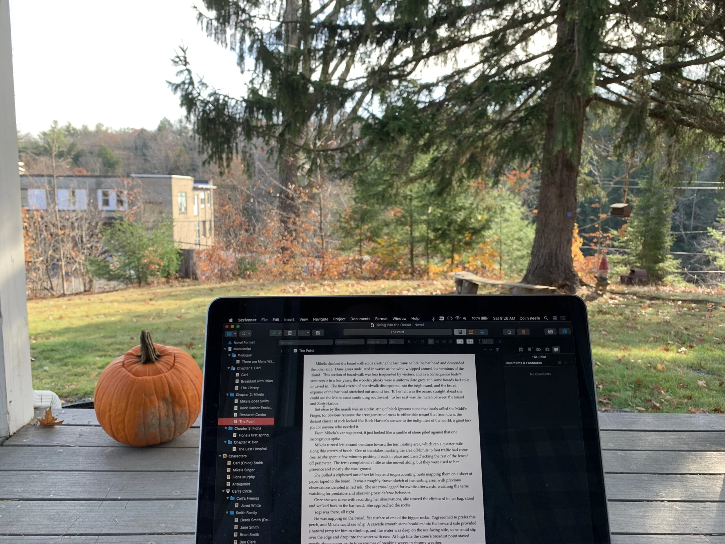 Arts, Letters and Numbers Residency — Colleen Keefe