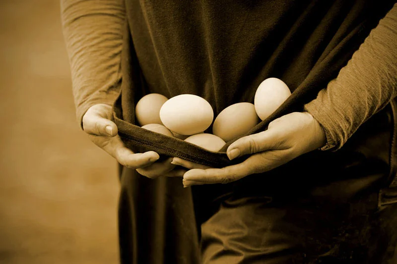 Farm Eggs_MG_1733.jpg