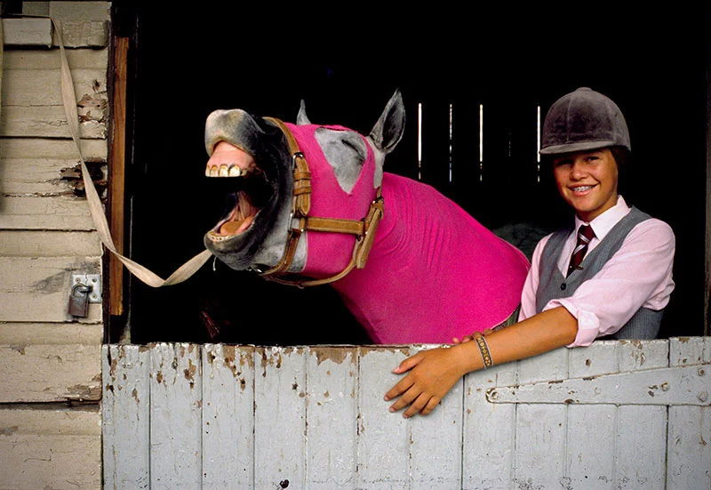 Laughing Horse