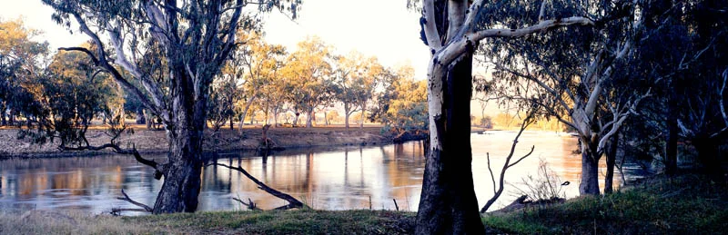 Murray River Sunset