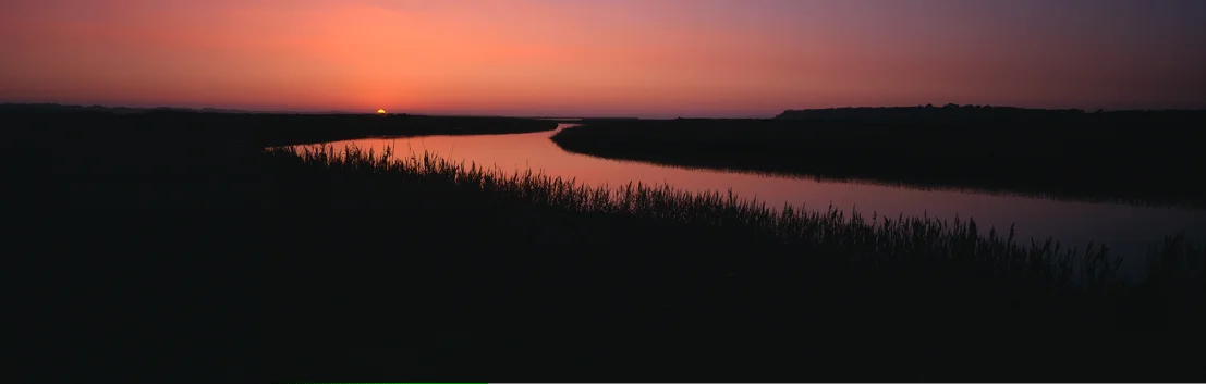 Tarwon Lower River Panorama