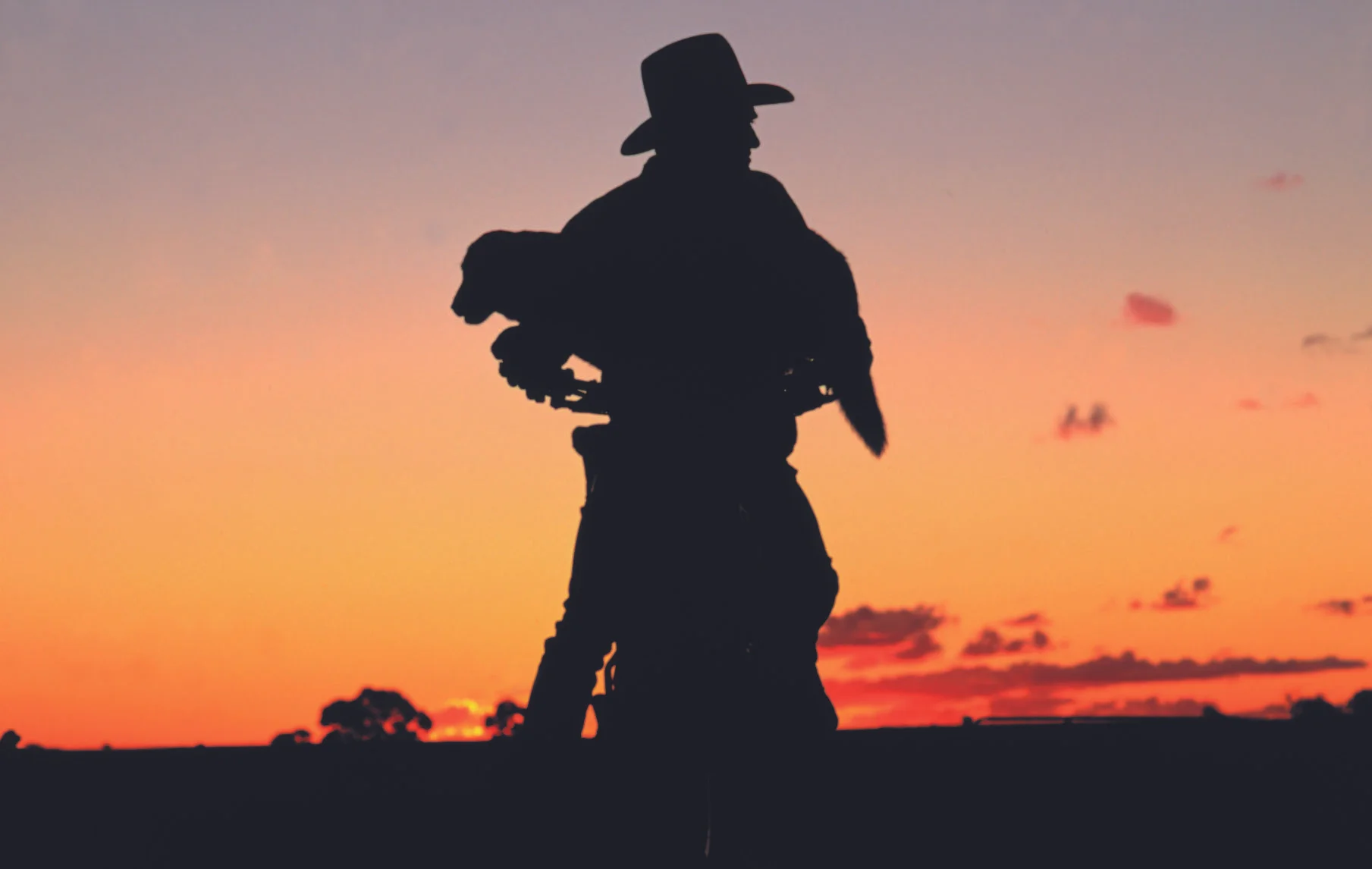 Outback Cattle Farmer