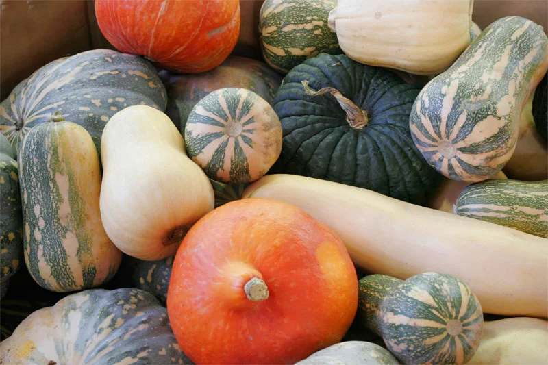 Heirloom Organic Pumpkins 