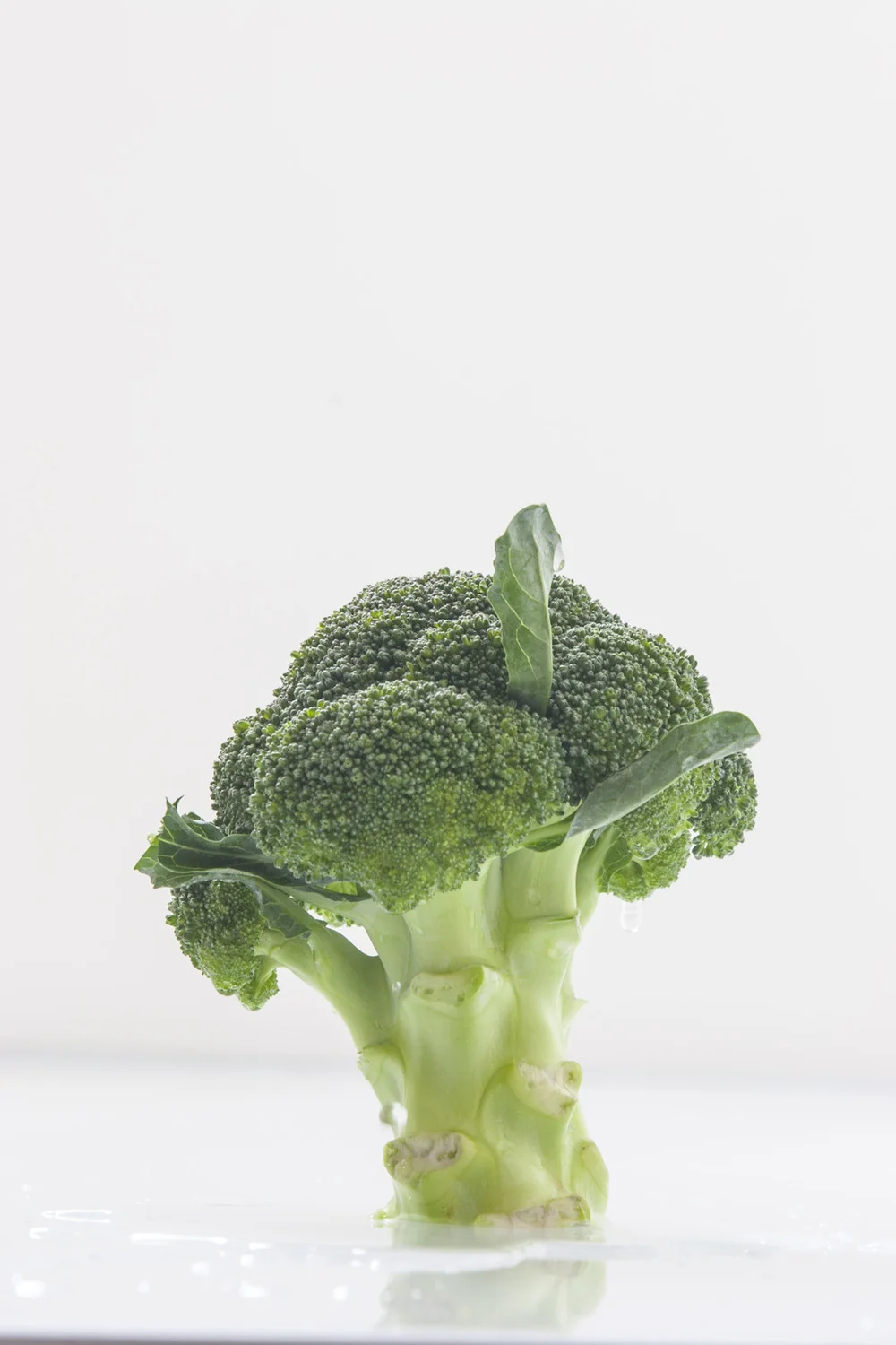 Organic Broccoli 