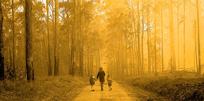 School Children   Panorama