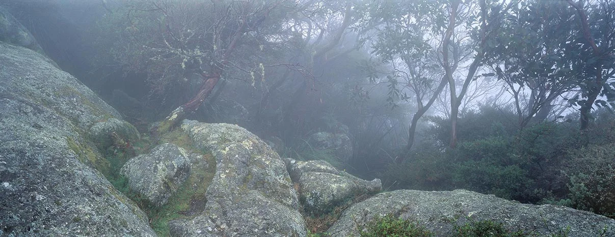 Wilsons Prom Mt Oberon Rocks 'Heart Rock' Panorama