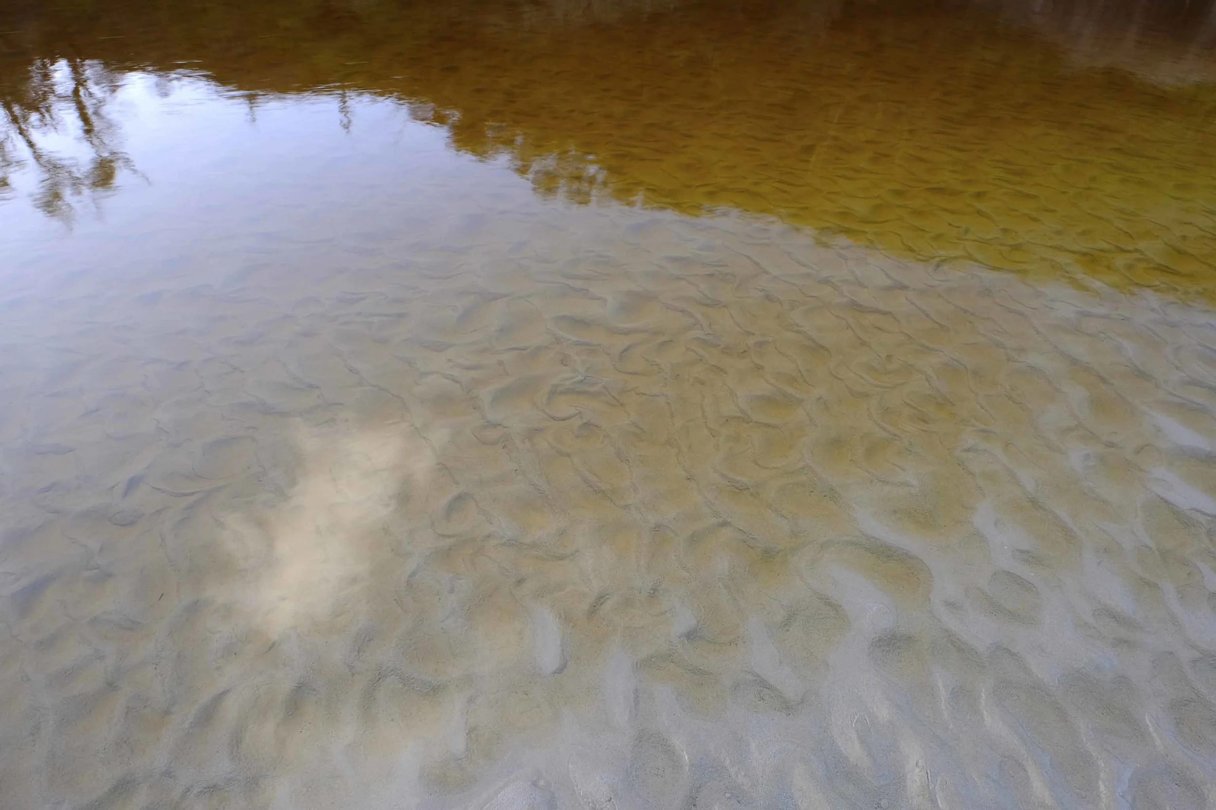 Tidal River Reflection 3