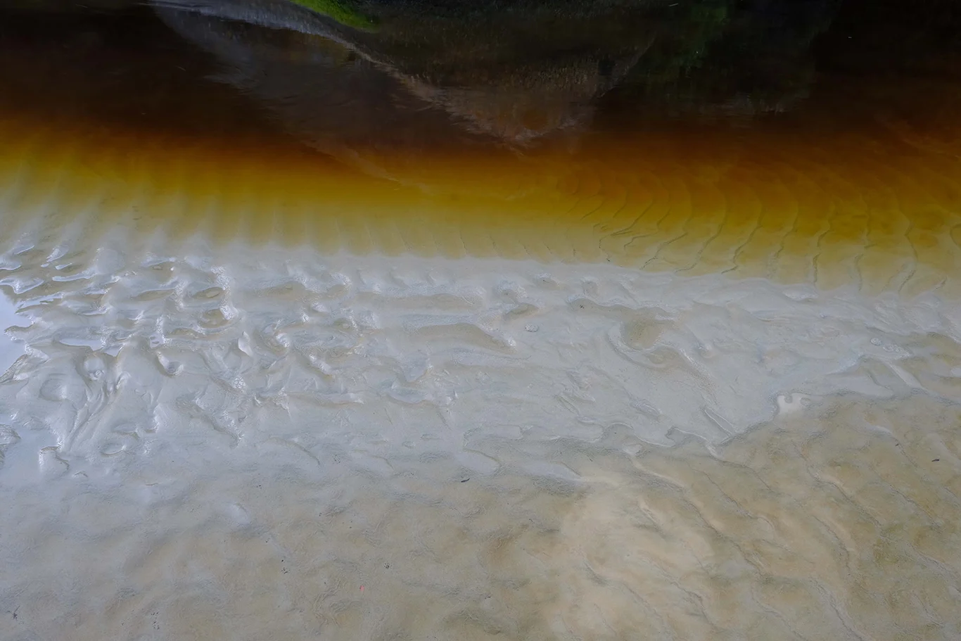 Tidal River Reflection 1