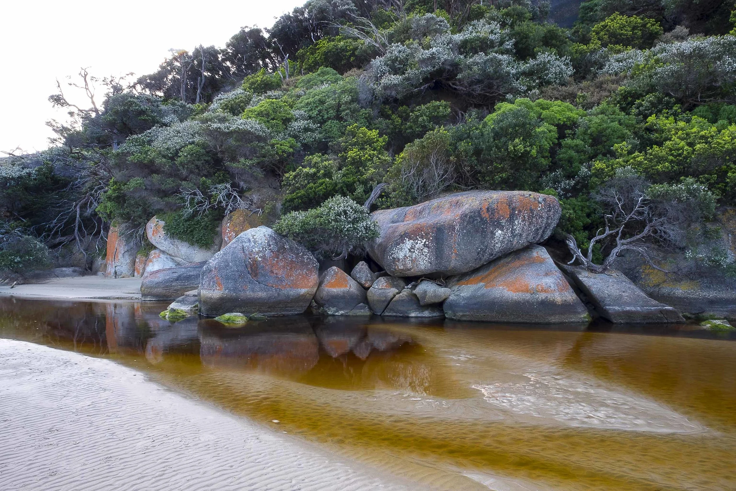 Tidal River Low Tide