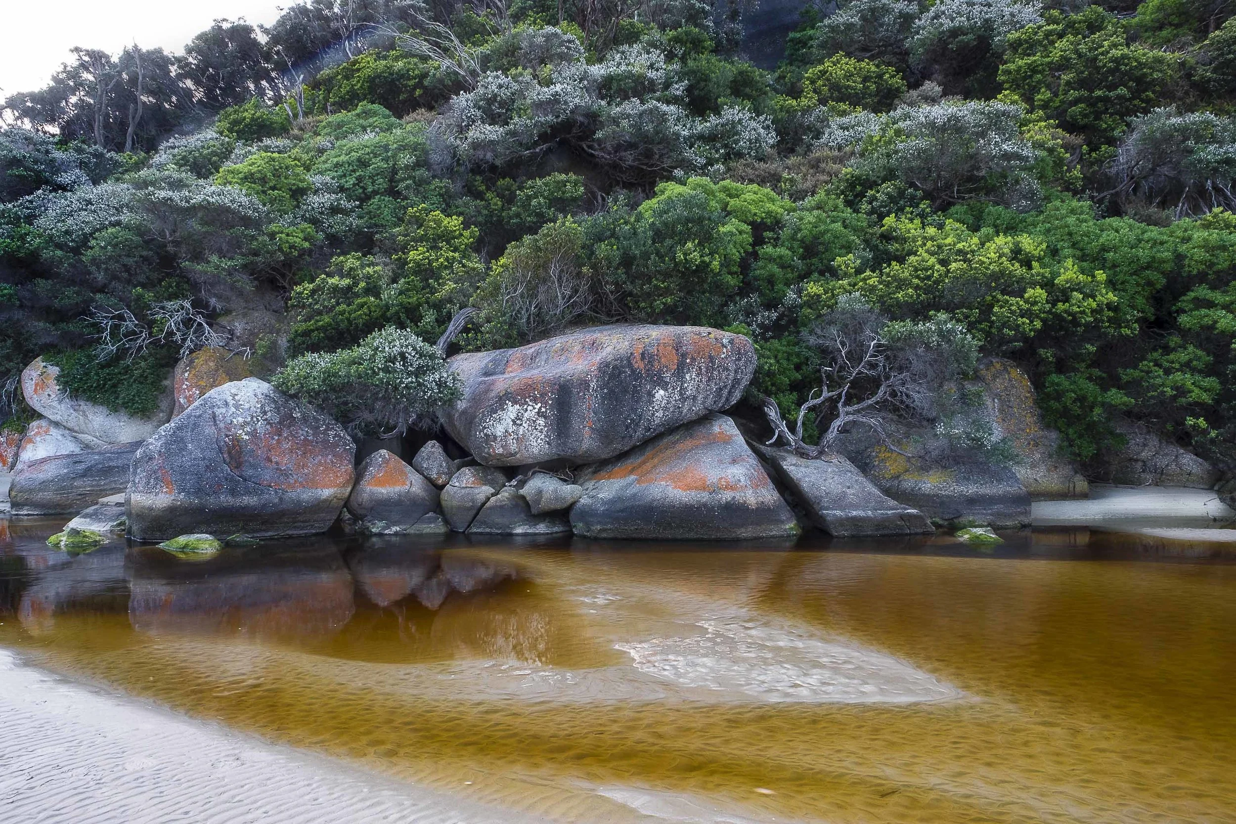 Tidal River Magic Hour